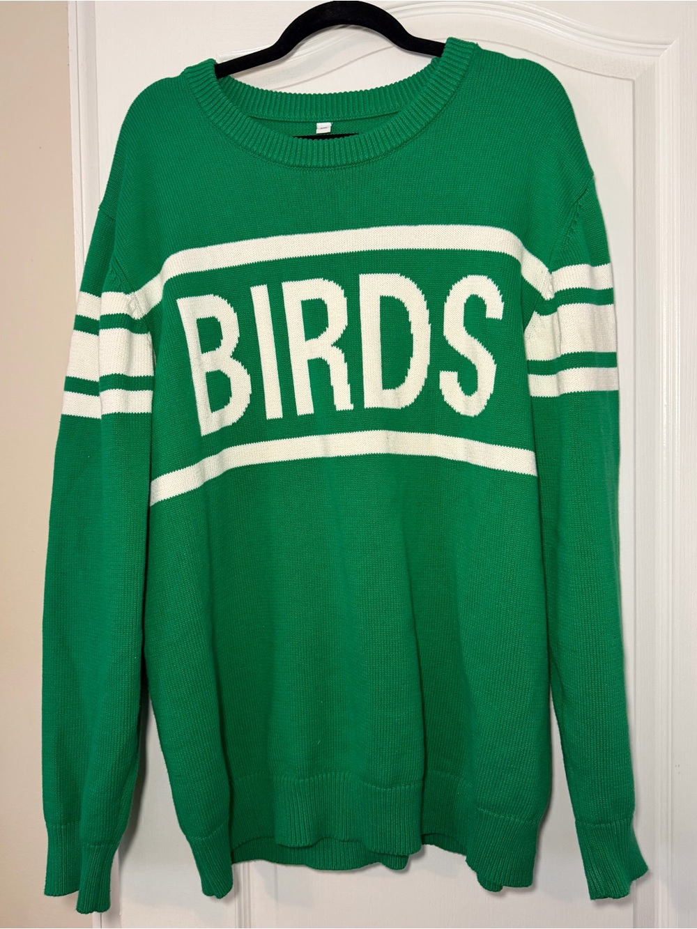 Philadelphia Eagles BIRDS Philly Green Sweater